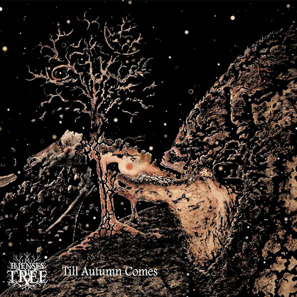 Presentazione nuovo album per gli Ilienses Tree